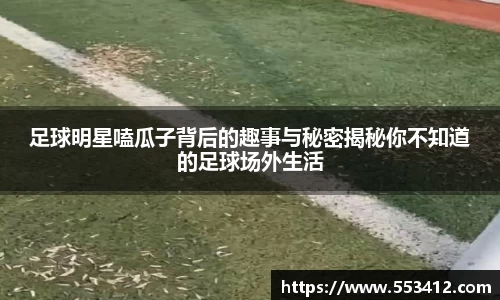 龙8国际